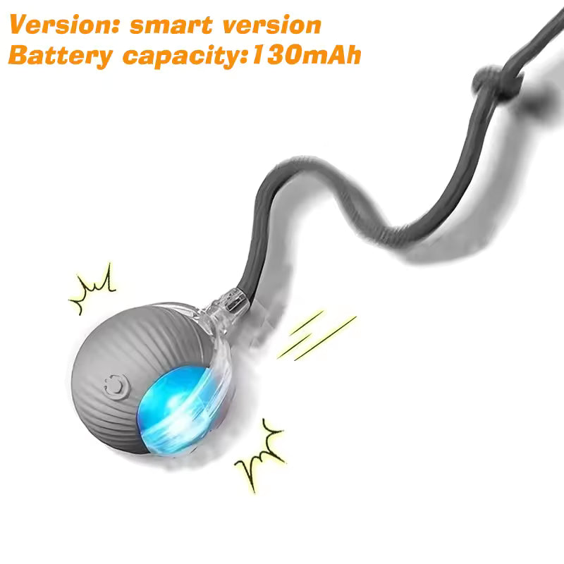 Balle interactive pour chiens/chats - Interactive ball for dogs / cats