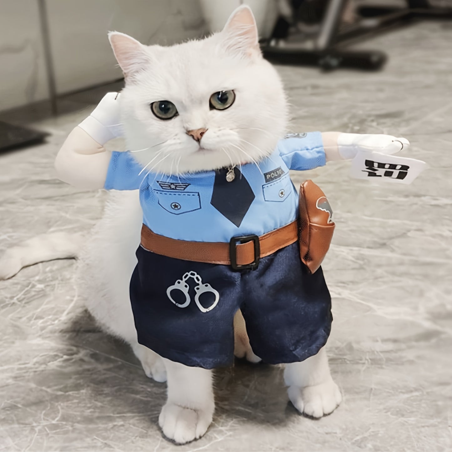 Pourquoi pas eux ? Costume d’Halloween pour animaux – Offrez à vos amours un look craquant et festif !