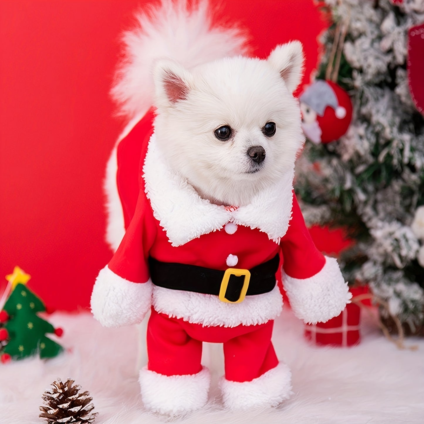 Pourquoi pas eux ? Costume d’Halloween pour animaux – Offrez à vos amours un look craquant et festif !