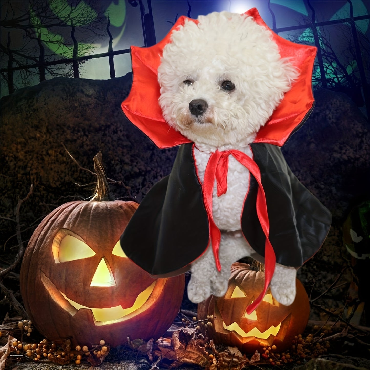 Pourquoi pas eux ? Costume d’Halloween pour animaux – Offrez à vos amours un look craquant et festif !