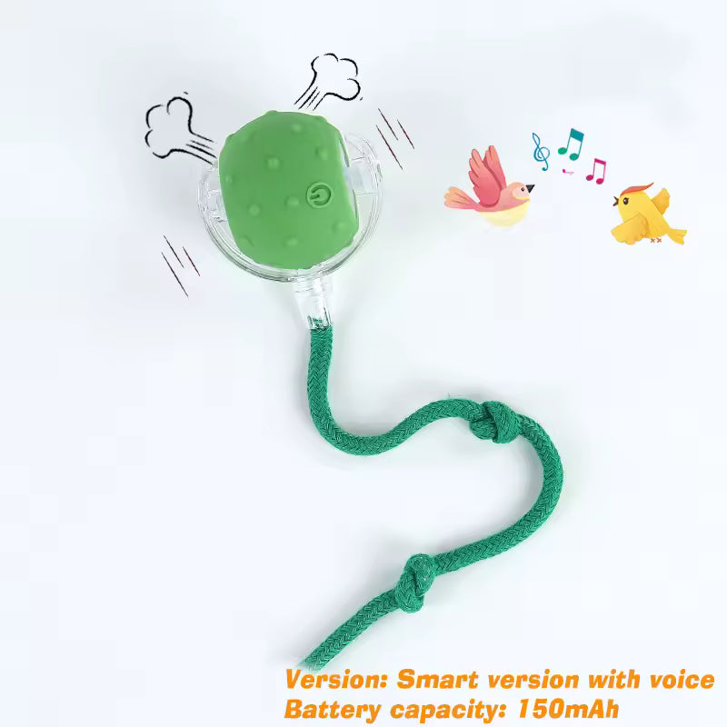 Balle interactive pour chiens/chats - Interactive ball for dogs / cats