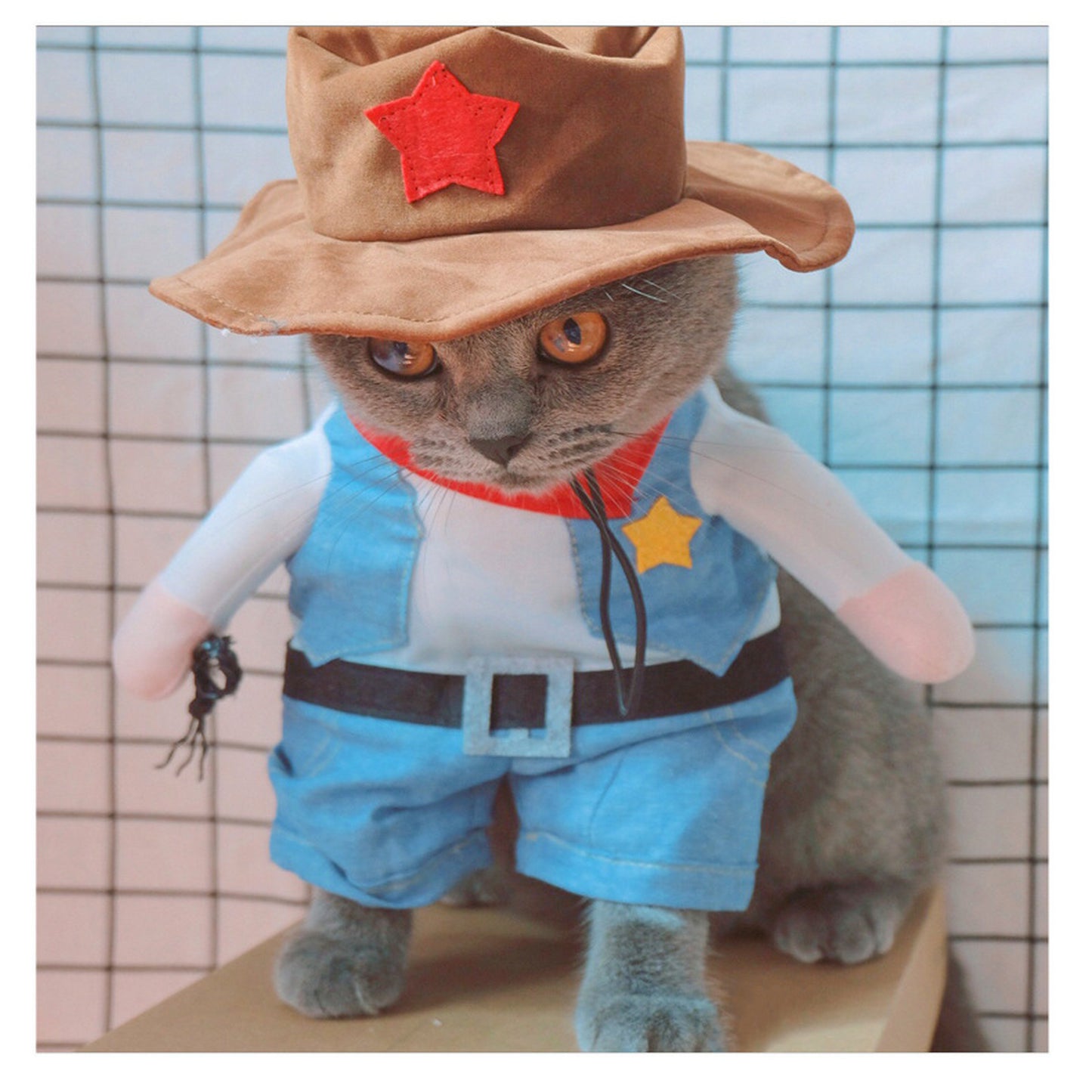 Pourquoi pas eux ? Costume d’Halloween pour animaux – Offrez à vos amours un look craquant et festif !