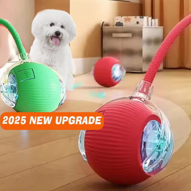 Balle interactive pour chiens/chats - Interactive ball for dogs / cats