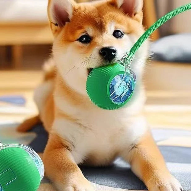 Balle interactive pour chiens/chats - Interactive ball for dogs / cats