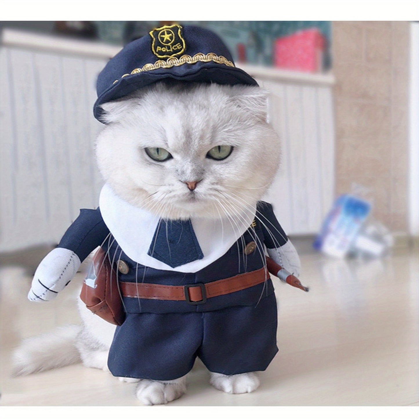 Pourquoi pas eux ? Costume d’Halloween pour animaux – Offrez à vos amours un look craquant et festif !