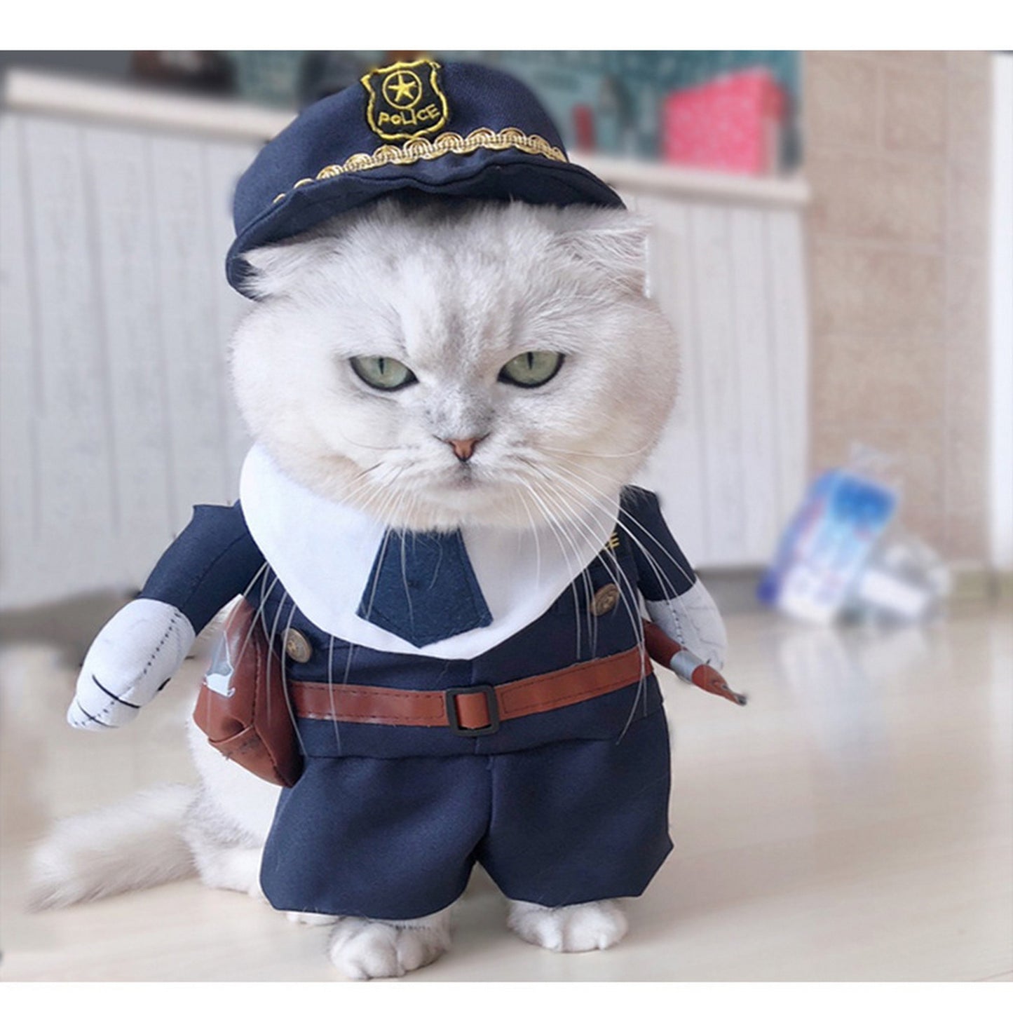 Pourquoi pas eux ? Costume d’Halloween pour animaux – Offrez à vos amours un look craquant et festif !