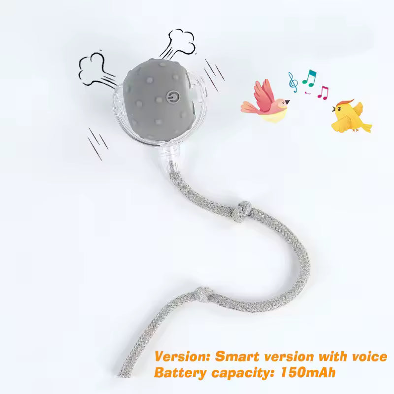 Balle interactive pour chiens/chats - Interactive ball for dogs / cats