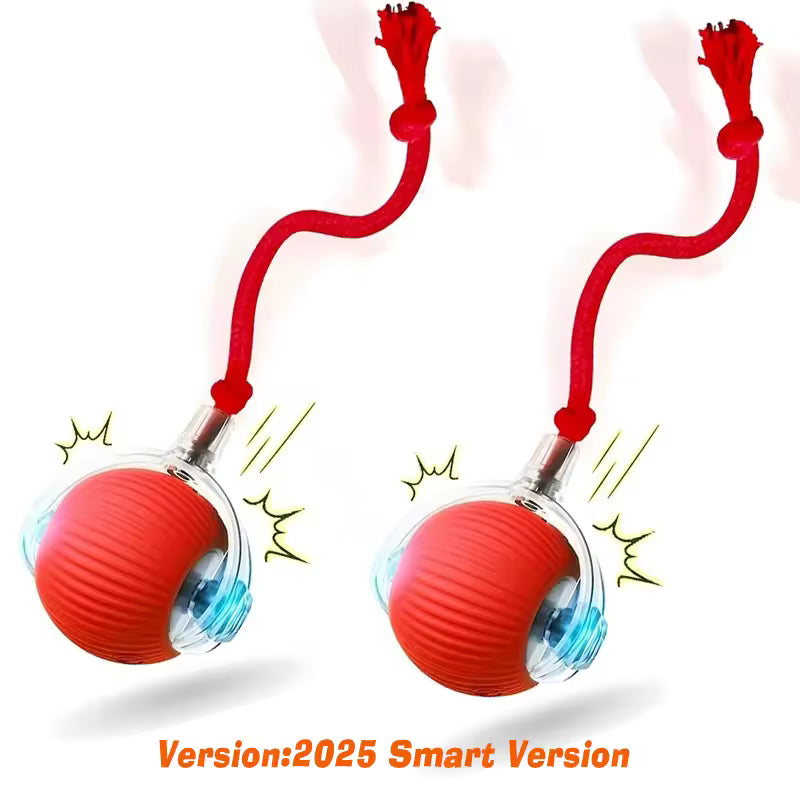 Balle interactive pour chiens/chats - Interactive ball for dogs / cats