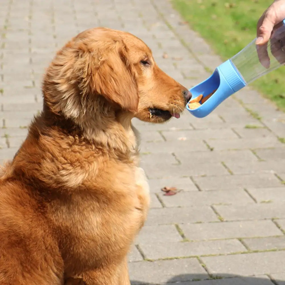 Bouteille d'eau pour chien /  Bouteil de nourriture pour chien / Bouteil deux en un pour animaux - Water bottle for dog / Food bottle for dog / Two-in-one bottle for pets.