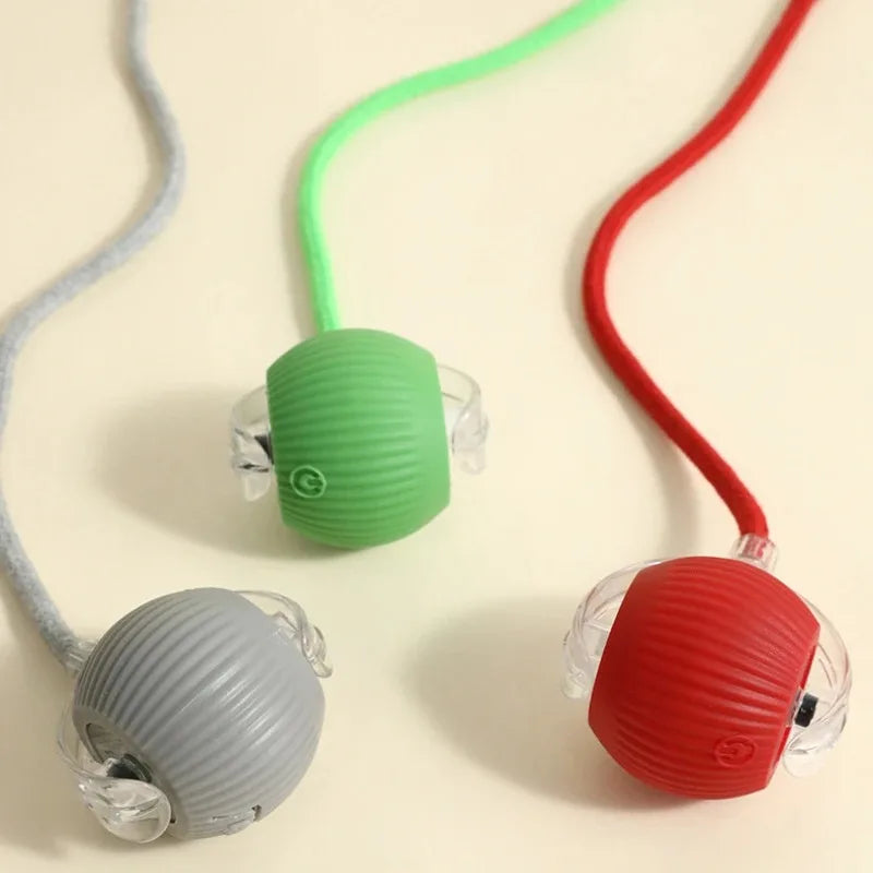 Balle interactive pour chiens/chats - Interactive ball for dogs / cats