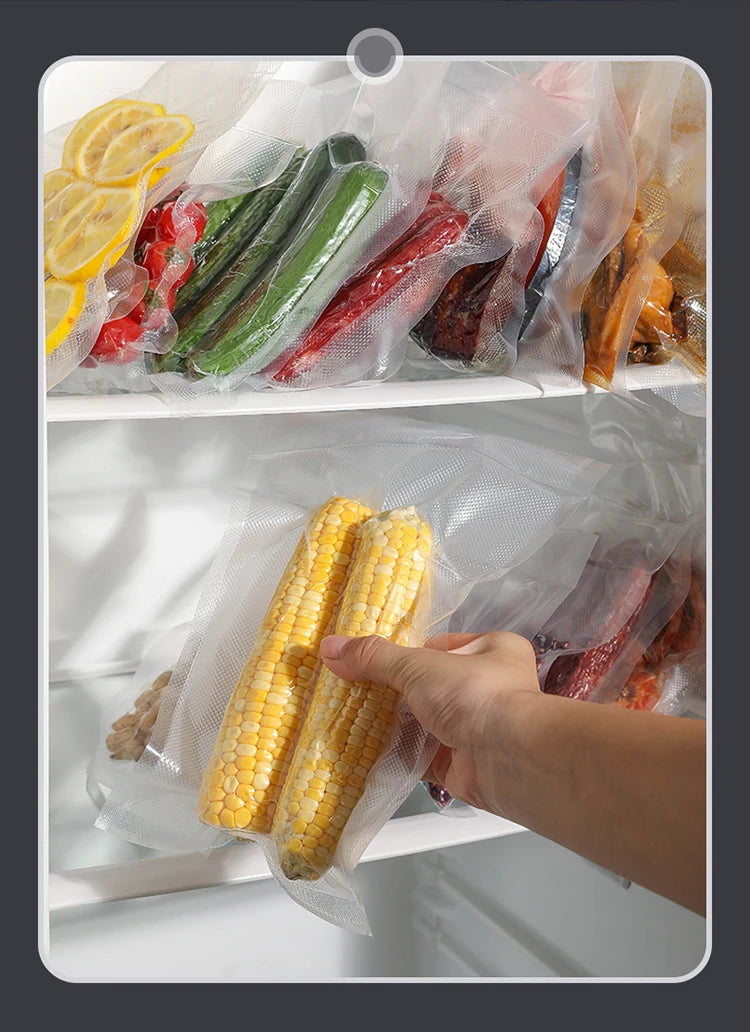 scelleuse sous vide /  vacuum sealer