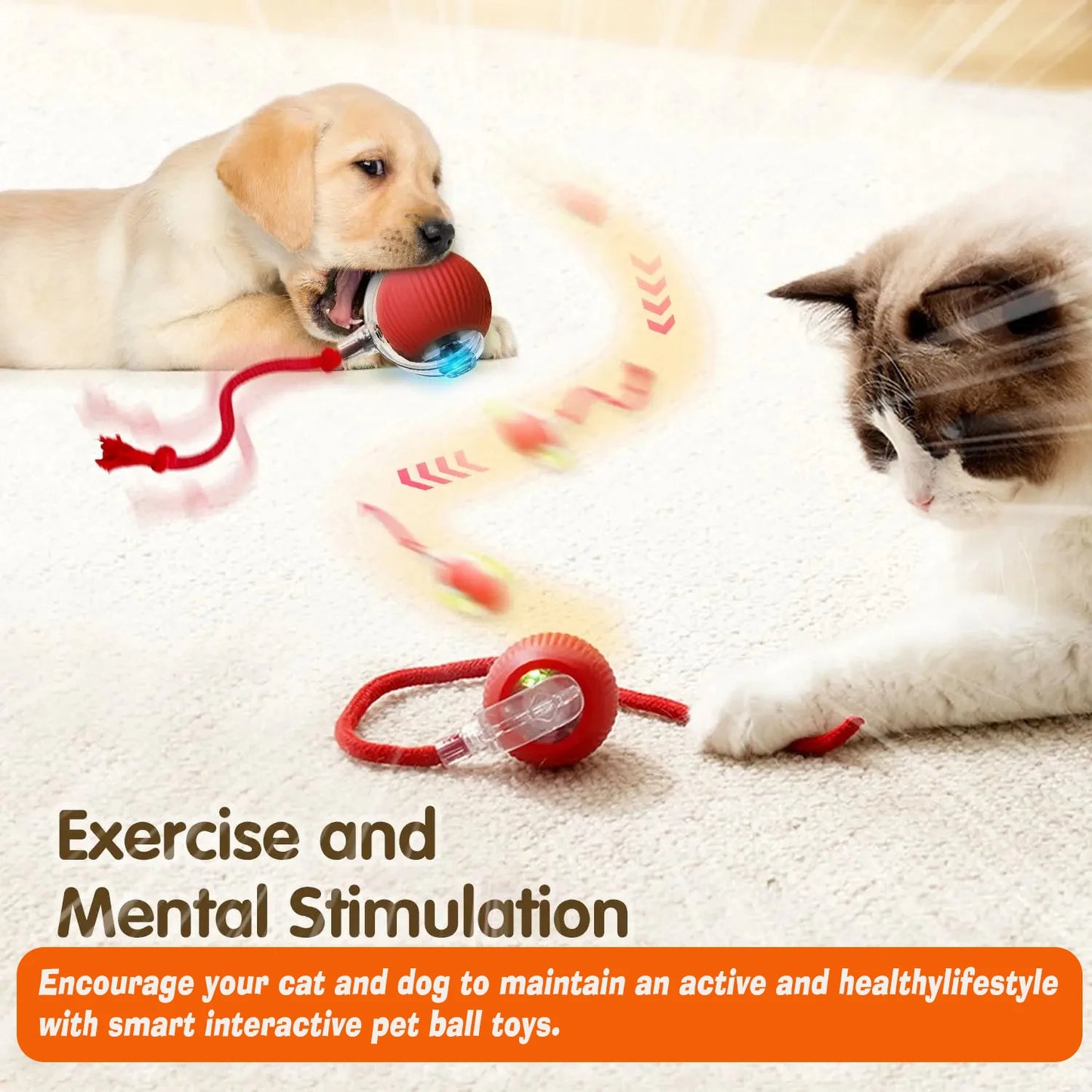 Balle interactive pour chiens/chats - Interactive ball for dogs / cats