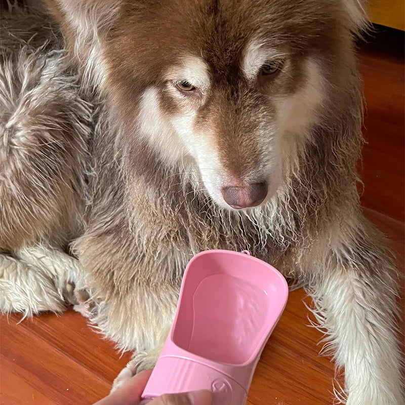 Bouteille d'eau pour chien /  Bouteil de nourriture pour chien / Bouteil deux en un pour animaux - Water bottle for dog / Food bottle for dog / Two-in-one bottle for pets.