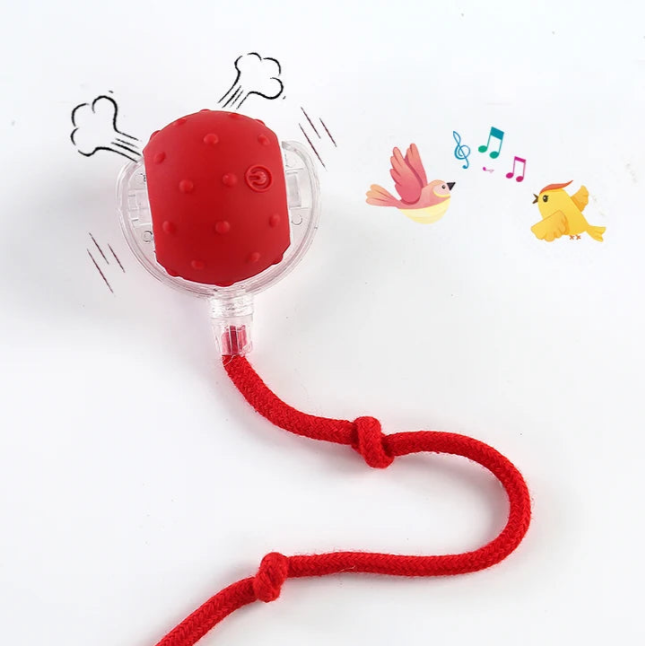 Balle interactive pour chiens/chats - Interactive ball for dogs / cats
