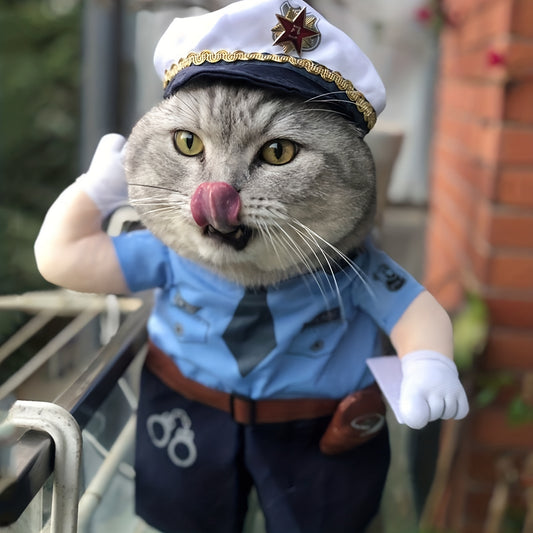 Pourquoi pas eux ? Costume d’Halloween pour animaux – Offrez à vos amours un look craquant et festif !